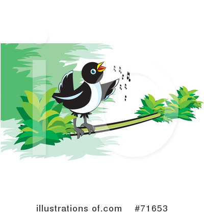 Magpie Clipart #71653 by Lal Perera