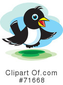 Magpie Clipart #71668 by Lal Perera