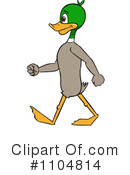 Mallard Clipart #1104814 by Cartoon Solutions