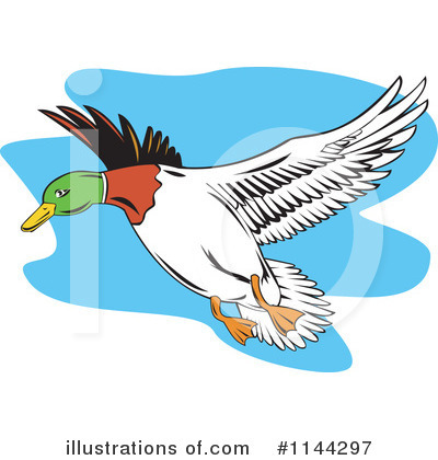 Mallard Duck Clipart #1144297 by patrimonio