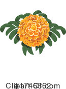 Marigold Clipart #1746362 by Vector Tradition SM