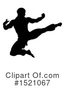 Martial Arts Clipart #1521067 by AtStockIllustration