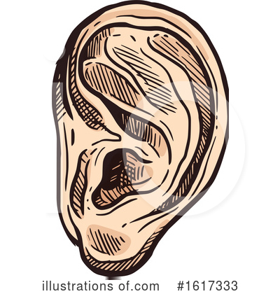 Ear Clipart #1617333 by Vector Tradition SM