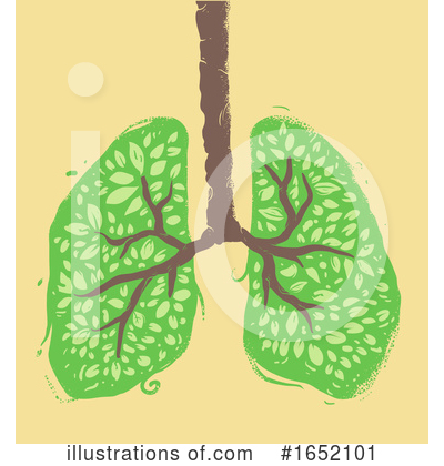 Lungs Clipart #1652101 by BNP Design Studio