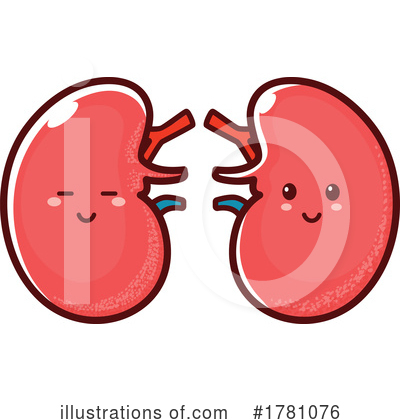 Kidneys Clipart #1781076 by Vector Tradition SM