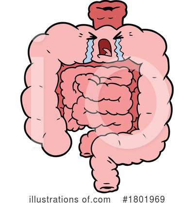Digestive System Clipart #1801969 by lineartestpilot