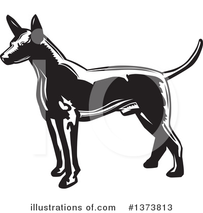 Royalty-Free (RF) Mexican Hairless Dog Clipart Illustration by David Rey - Stock Sample #1373813