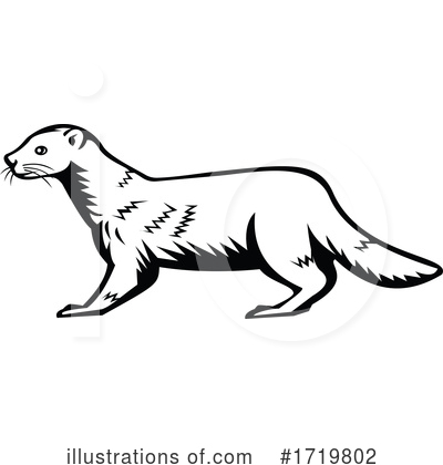 Weasel Clipart #1719802 by patrimonio