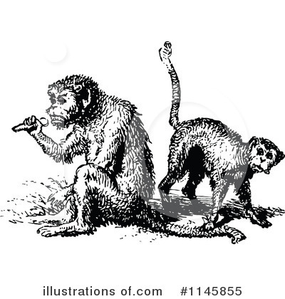 Royalty-Free (RF) Monkey Clipart Illustration by Prawny Vintage - Stock Sample #1145855