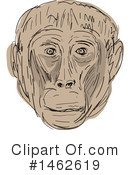 Monkey Clipart #1462619 by patrimonio