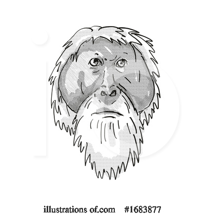 Royalty-Free (RF) Monkey Clipart Illustration by patrimonio - Stock Sample #1683877