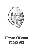 Monkey Clipart #1683892 by patrimonio