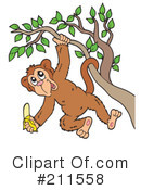 Monkey Clipart #211558 by visekart