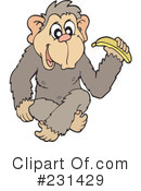 Monkey Clipart #231429 by visekart