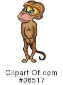 Monkey Clipart #36517 by dero