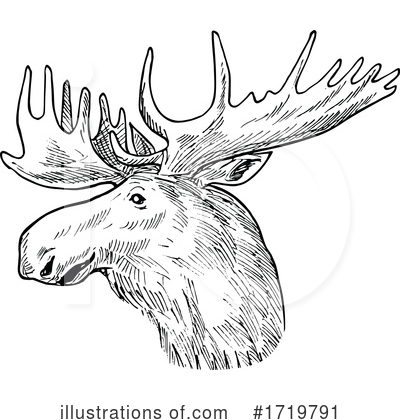 Royalty-Free (RF) Moose Clipart Illustration by patrimonio - Stock Sample #1719791