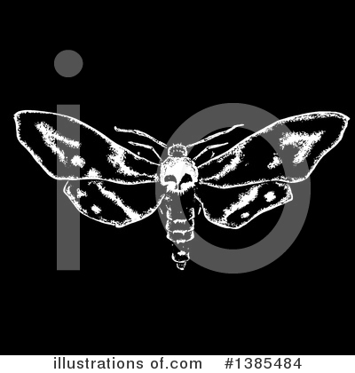 Royalty-Free (RF) Moth Clipart Illustration by lineartestpilot - Stock Sample #1385484