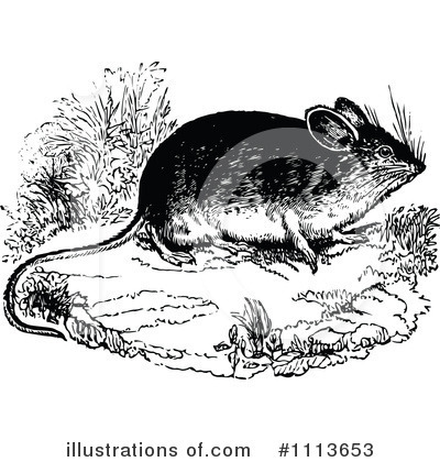Royalty-Free (RF) Mouse Clipart Illustration by Prawny Vintage - Stock Sample #1113653