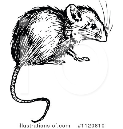 Royalty-Free (RF) Mouse Clipart Illustration by Prawny Vintage - Stock Sample #1120810
