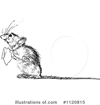 Royalty-Free (RF) Mouse Clipart Illustration by Prawny Vintage - Stock Sample #1120815