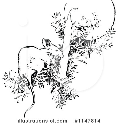 Royalty-Free (RF) Mouse Clipart Illustration by Prawny Vintage - Stock Sample #1147814