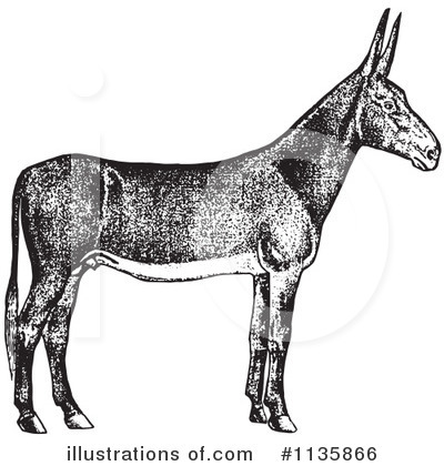 Donkey Clipart #1135866 by Picsburg