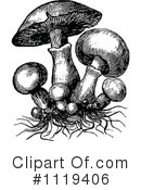 Mushroom Clipart #1119406 by Prawny Vintage