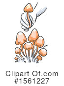 Mushroom Clipart #1561227 by BNP Design Studio