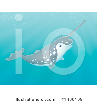 Narwhal Clipart #1460169 by Alex Bannykh