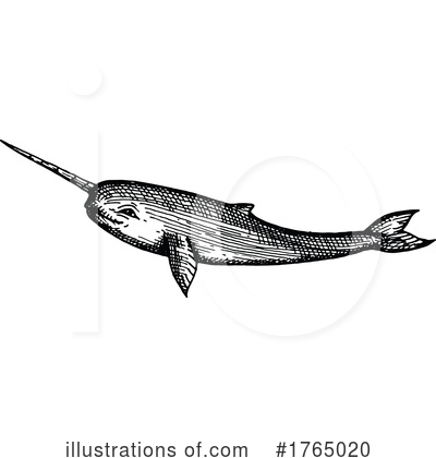 Narwhal Clipart #1765020 by Vector Tradition SM