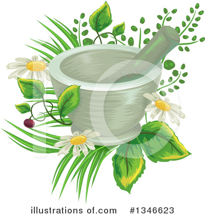 Herbs Clipart #1346623 by BNP Design Studio