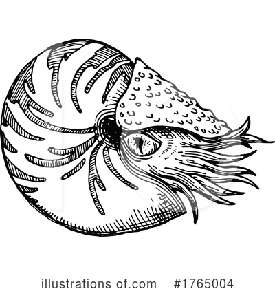 Nautilus Clipart #1765004 by Vector Tradition SM