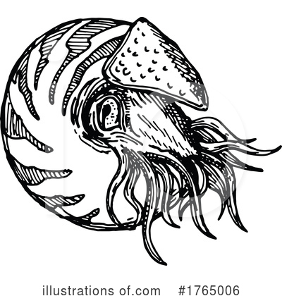 Nautilus Clipart #1765006 by Vector Tradition SM