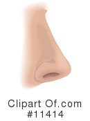 Nose Clipart #11414 by AtStockIllustration