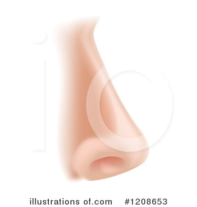 Royalty-Free (RF) Nose Clipart Illustration by AtStockIllustration - Stock Sample #1208653