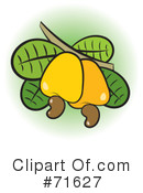 Nuts Clipart #71627 by Lal Perera