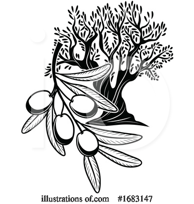 Olive Tree Clipart #1683147 by Vector Tradition SM