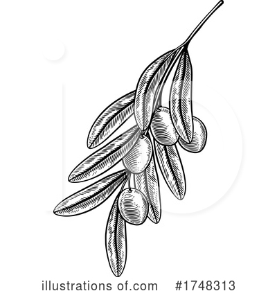 Royalty-Free (RF) Olive Clipart Illustration by AtStockIllustration - Stock Sample #1748313