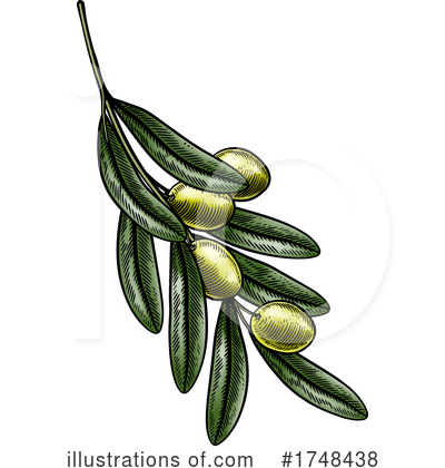 Olive Branch Clipart #1748438 by AtStockIllustration