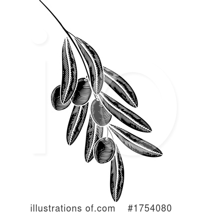 Olive Branch Clipart #1754080 by AtStockIllustration