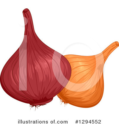 Royalty-Free (RF) Onion Clipart Illustration by BNP Design Studio - Stock Sample #1294552
