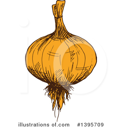 Yellow Onion Clipart #1395709 by Vector Tradition SM