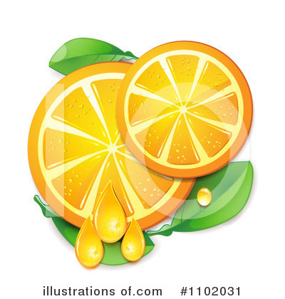 Orange Slices Clipart #1102031 by merlinul