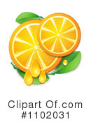 Oranges Clipart #1102031 by merlinul
