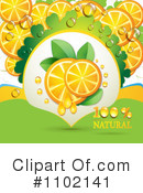 Oranges Clipart #1102141 by merlinul