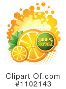 Oranges Clipart #1102143 by merlinul