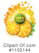 Oranges Clipart #1102144 by merlinul