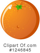 Oranges Clipart #1246845 by Vector Tradition SM