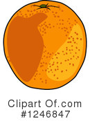 Oranges Clipart #1246847 by Vector Tradition SM