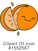 Oranges Clipart #1552567 by lineartestpilot